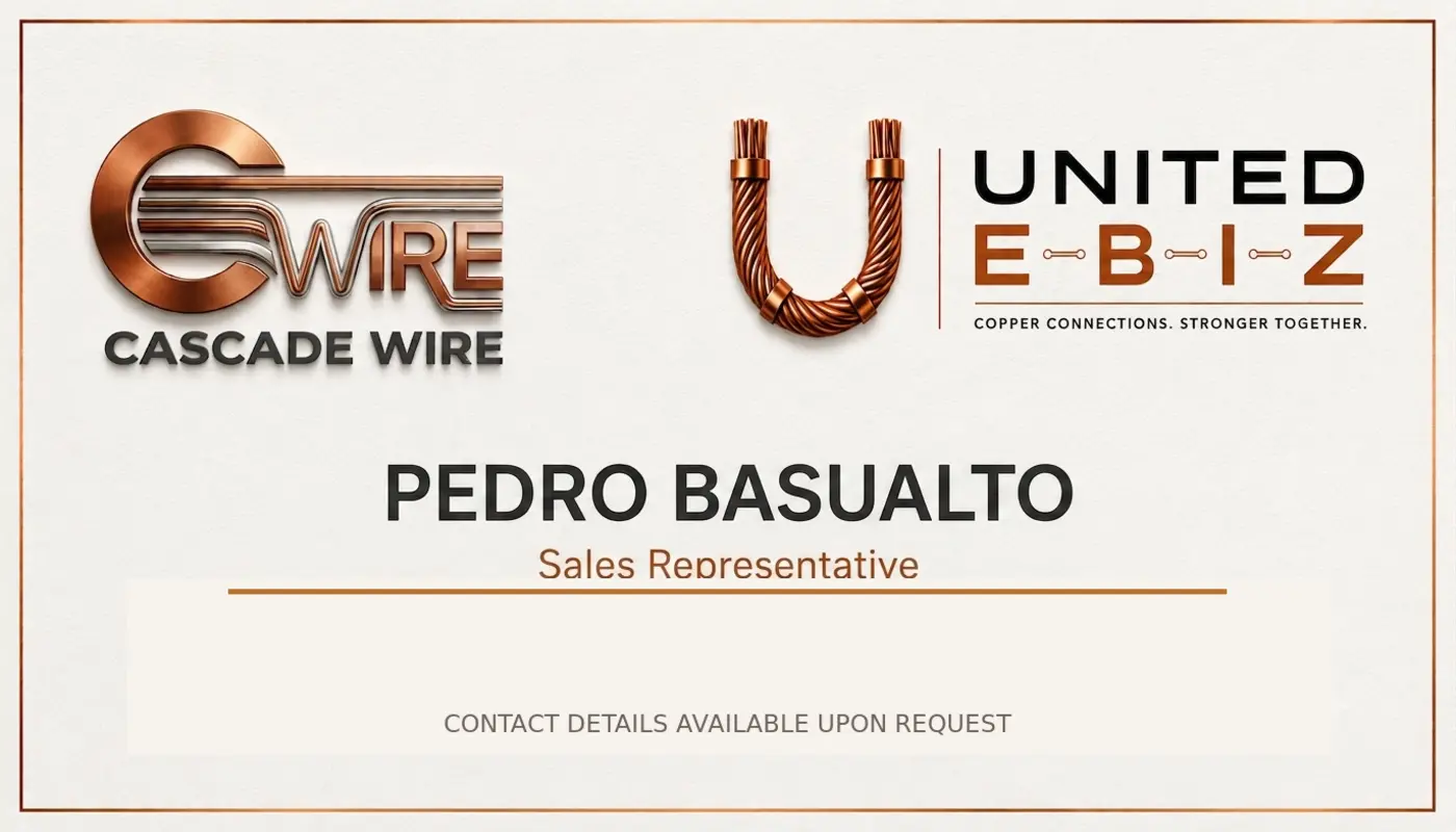 United E-BIZ business card for Pedro Basualto